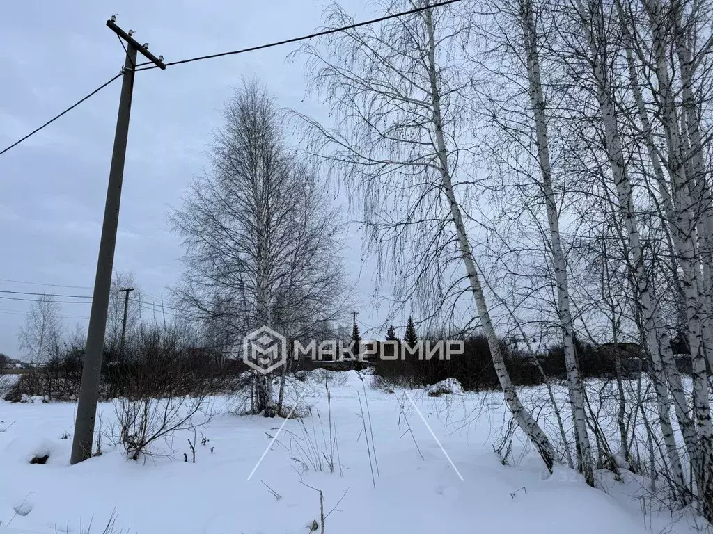 Участок в Челябинская область, Сосновский муниципальный округ, ... - Фото 1