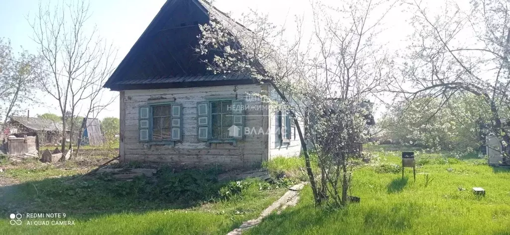 Дом в Приморский край, с. Чугуевка ул. Северная (31 м) - Фото 0