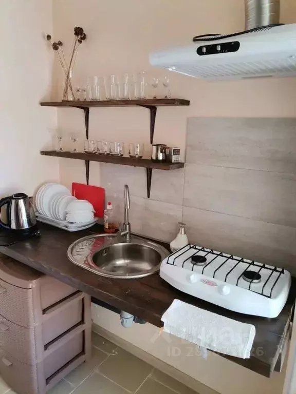 2-к кв. Крым, Черноморский район, Оленевское с/пос, с. Оленевка ул. ... - Фото 2