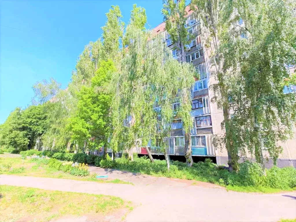 3-к кв. Курская область, Курчатов ул. Гайдара, 3 (64.2 м) - Фото 1
