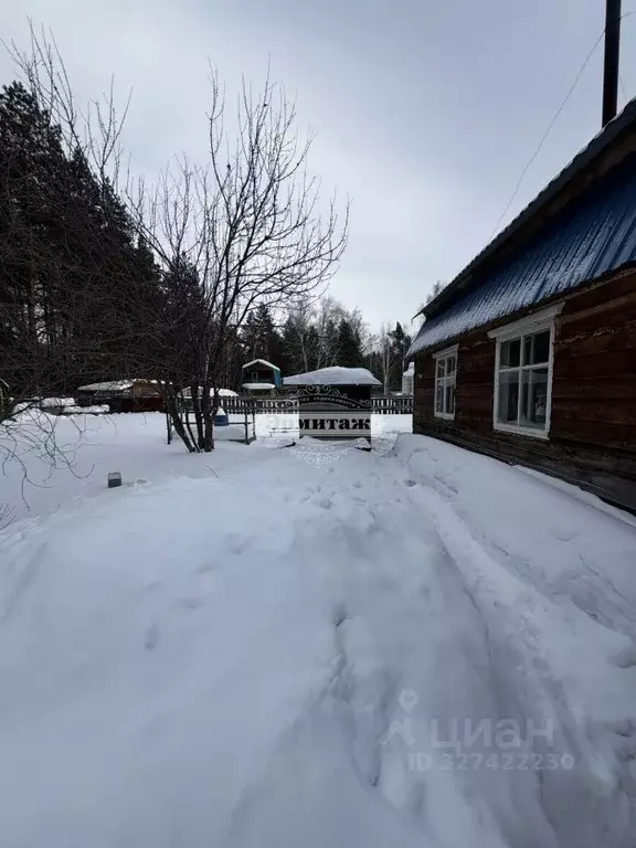 Дом в Курганская область, Курган Наука СНТ, ул. 2-я, 29 (40 м) - Фото 2