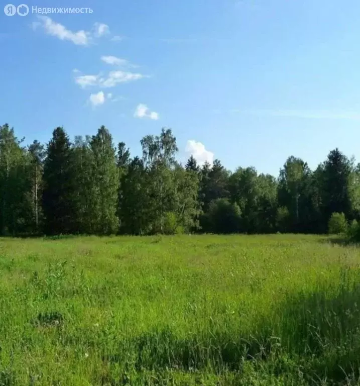 Участок в Нижегородская область, Дальнеконстантиновский муниципальный ... - Фото 2