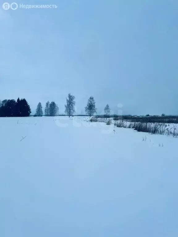 Участок в Калининградская область, Гвардейский муниципальный округ, ... - Фото 1