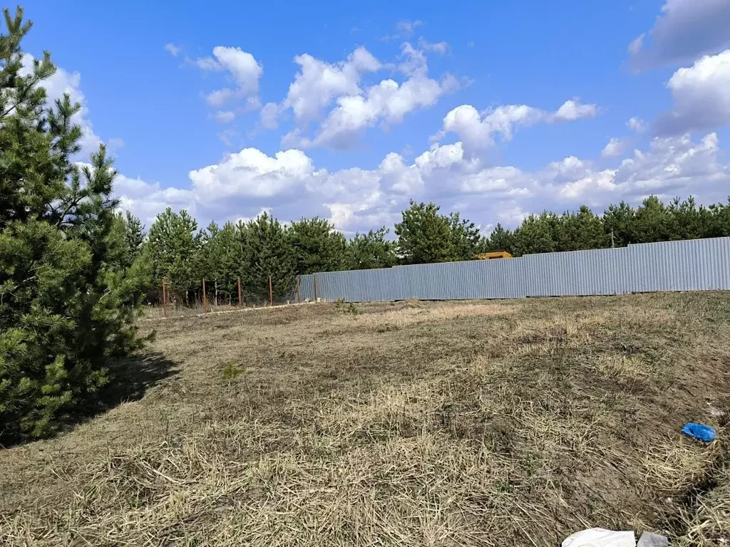 Участок в Московская область, Раменский муниципальный округ, с. Речицы ... - Фото 2