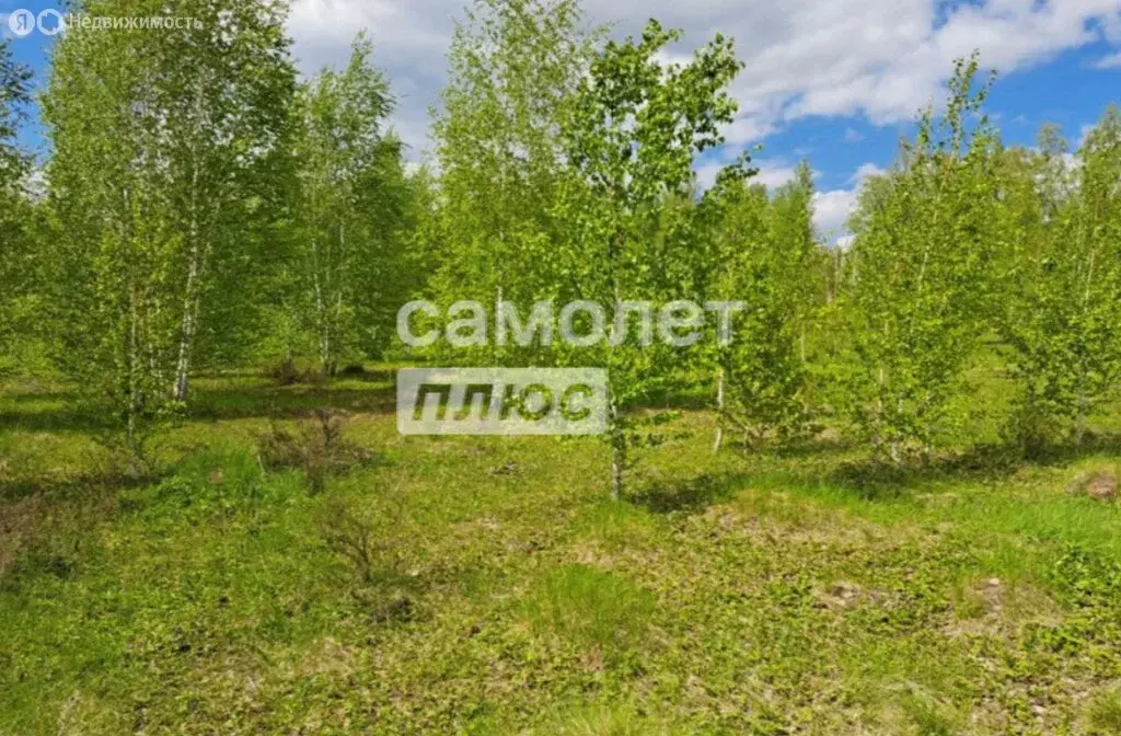 Участок в Челябинская область, Сосновский муниципальный округ, деревня ... - Фото 1