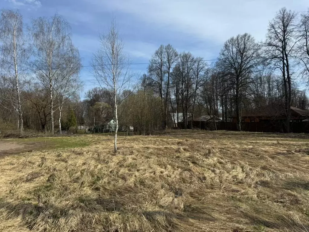 Участок в Московская область, Чехов муниципальный округ, д. Хлевино ... - Фото 2