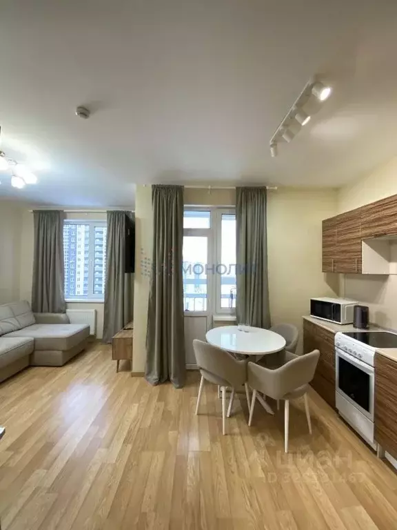 1-к кв. Нижегородская область, Нижний Новгород д. Анкудиновка, ул. ... - Фото 1