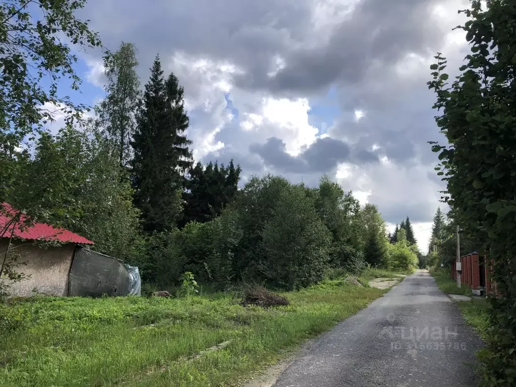 Участок в Московская область, Клин городской округ, Лесной ДСК 130 ... - Фото 1