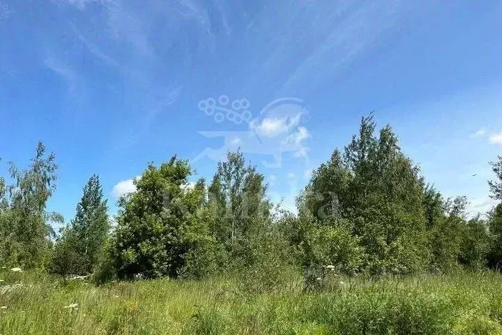 Участок в Московская область, Одинцовский городской округ, Мэдисон ... - Фото 1