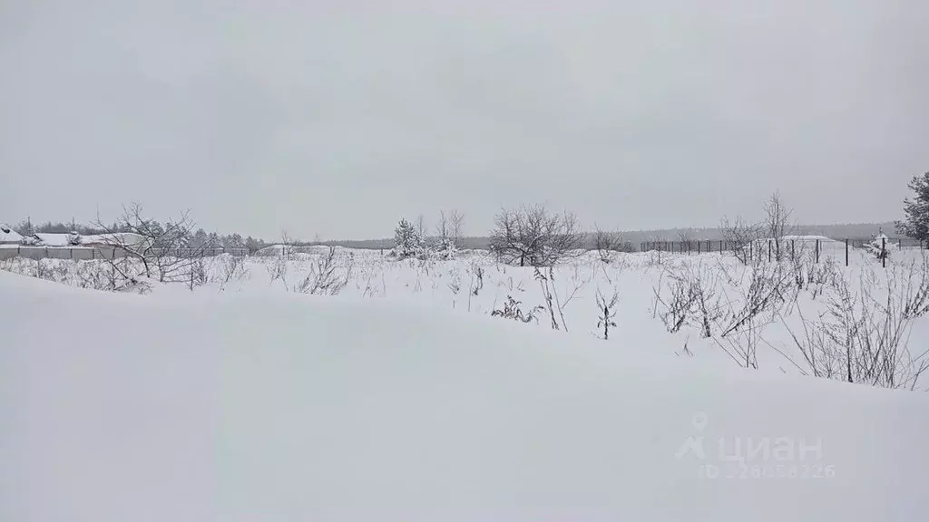 Участок в Московская область, Егорьевск муниципальный округ, д. ... - Фото 2