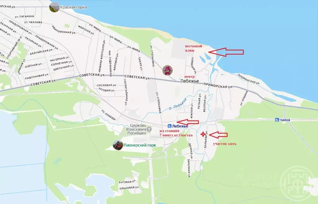 Участок в Ленинградская область, Ломоносовский район, Лебяженское ... - Фото 1