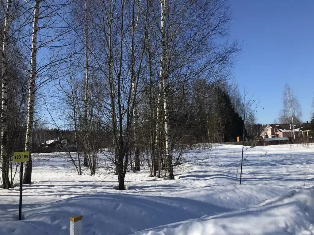 Участок в Московская область, Дмитровский городской округ, Дмитровское ... - Фото 0