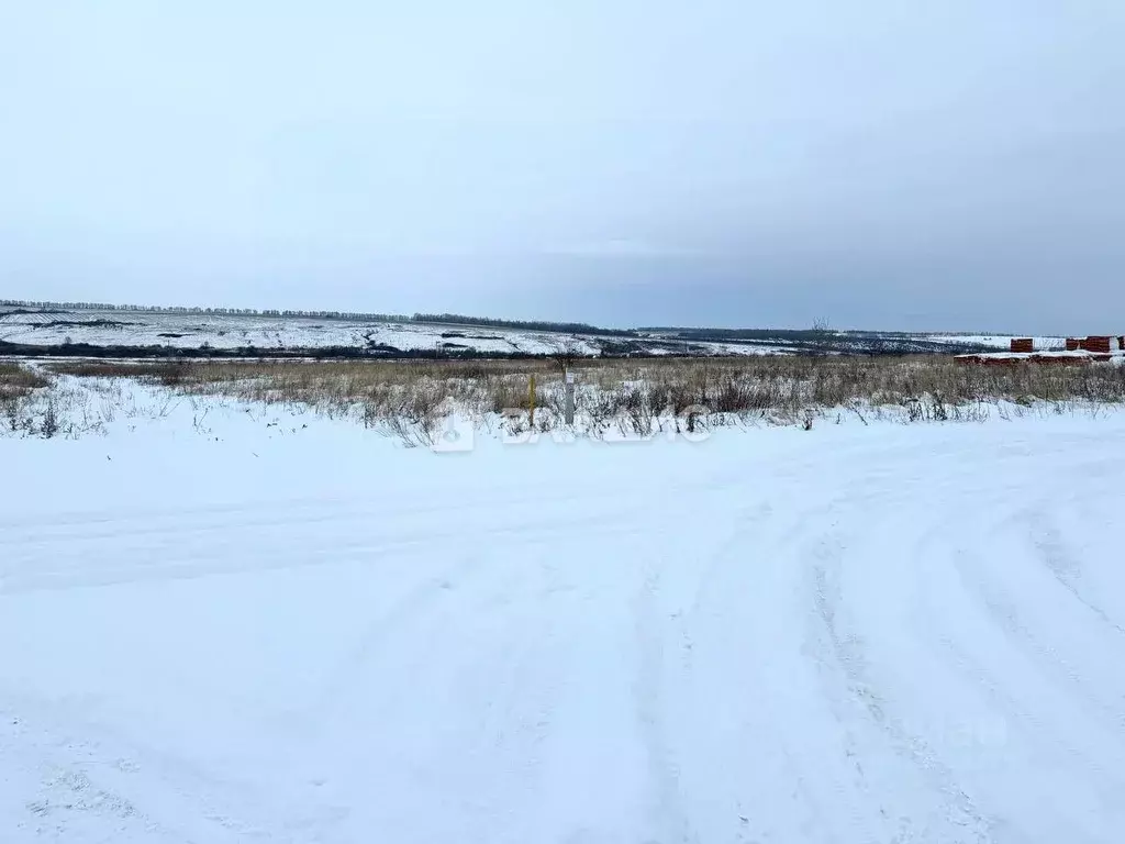 Участок в Пензенская область, Городищенский район, д. Луговые Выселки  ... - Фото 1