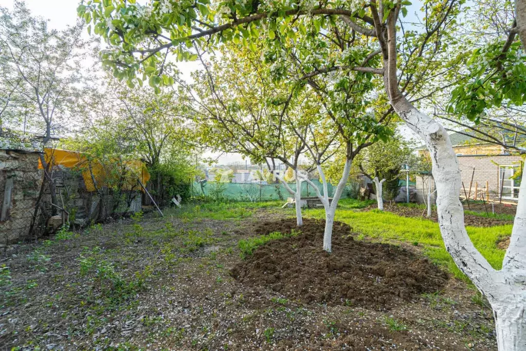 Участок в Севастополь Березка садоводческое товарищество, 53 (4.45 ... - Фото 1
