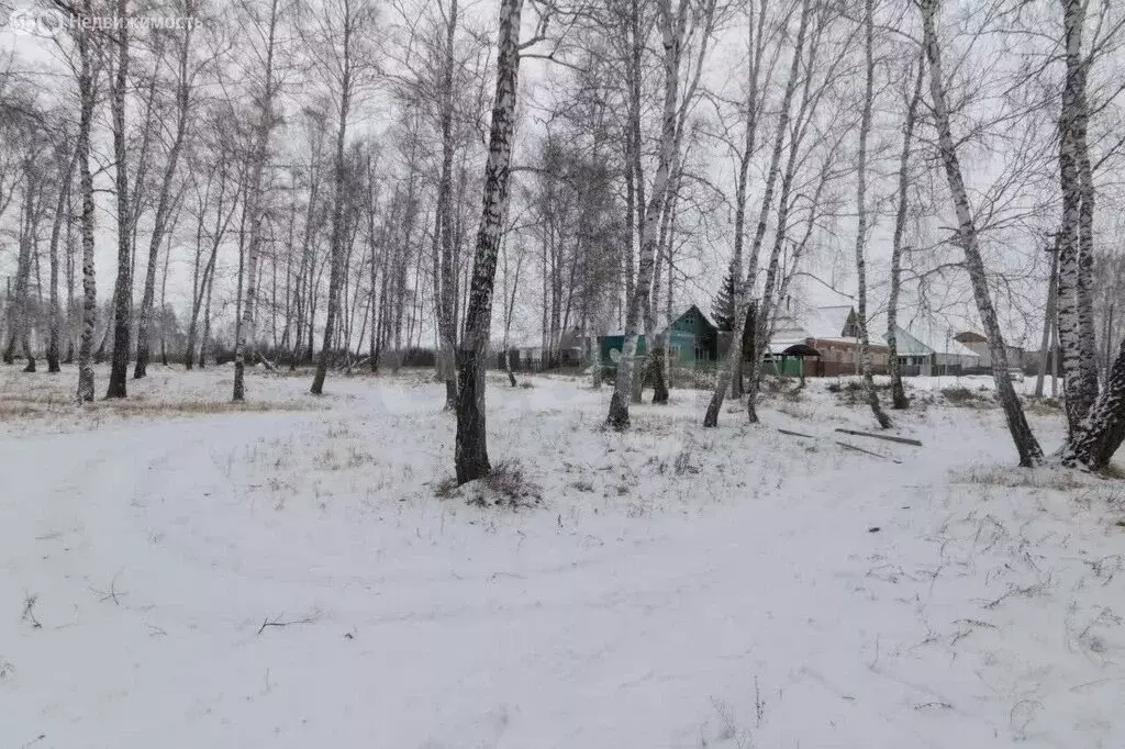 Участок в деревня Ваньковка, Полевая улица (11.59 м) - Фото 2