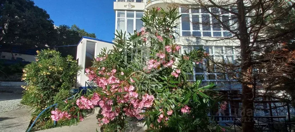 3-к кв. Крым, Ялта муниципальный округ, Восход пгт ул. Авроры, 56 ... - Фото 0