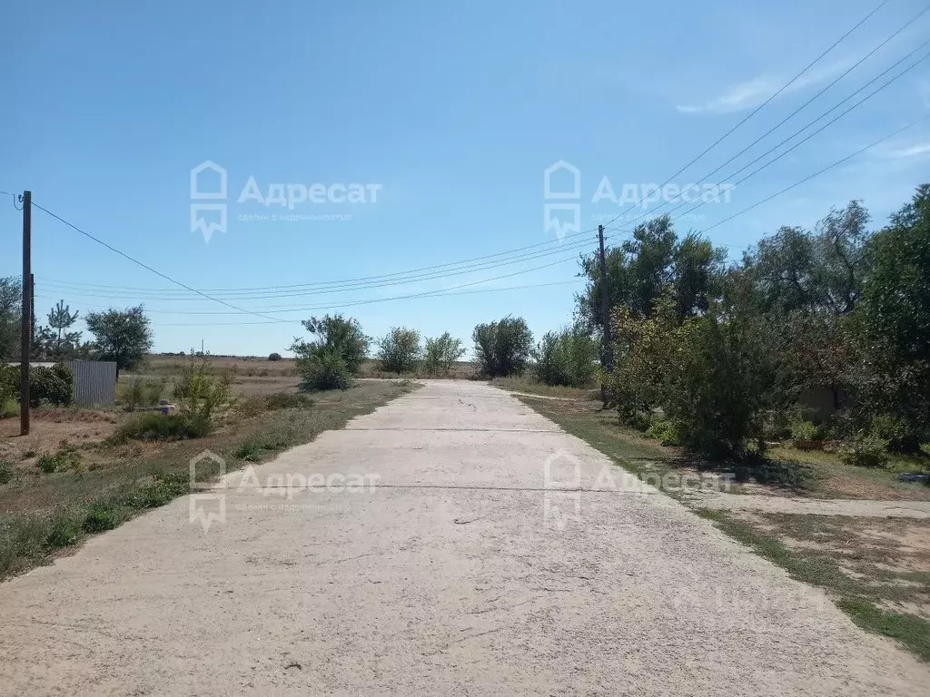 Участок в Волгоградская область, Светлоярский район, Дубовоовражное ... - Фото 1