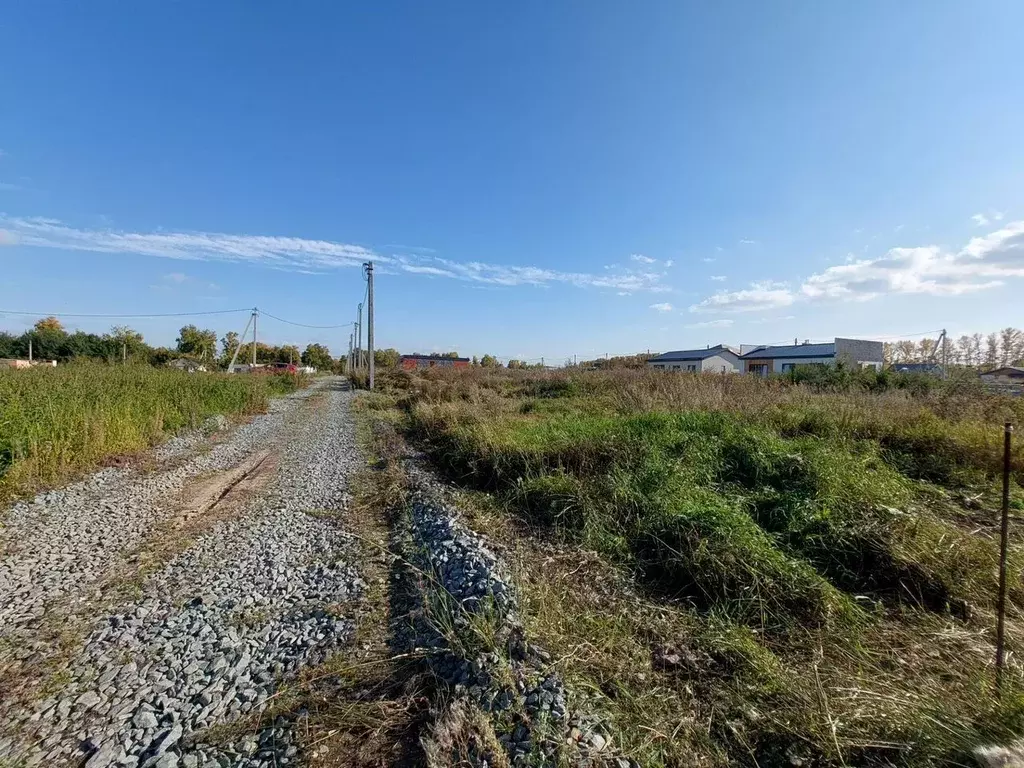 Участок в Новосибирская область, Новосибирский район, Морской ... - Фото 1