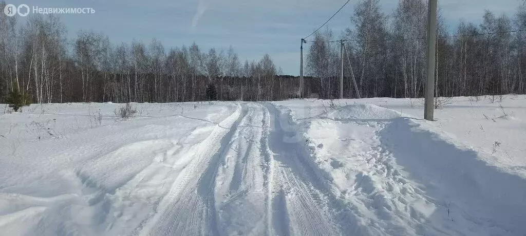 Участок в Курганская область, Кетовский муниципальный округ, НДПК ... - Фото 2