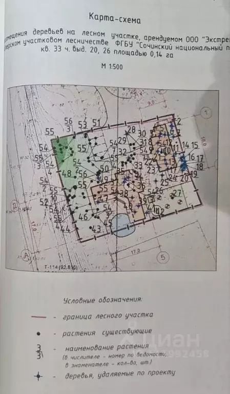 Участок в Краснодарский край, Сочи городской округ, с. Казачий Брод ... - Фото 2
