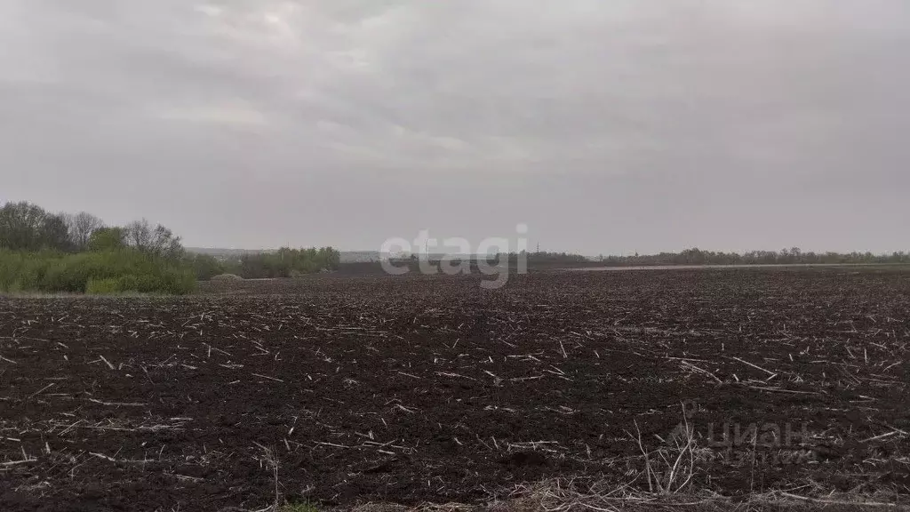 Участок в Белгородская область, Белгородский район, Дубовское с/пос, ... - Фото 1