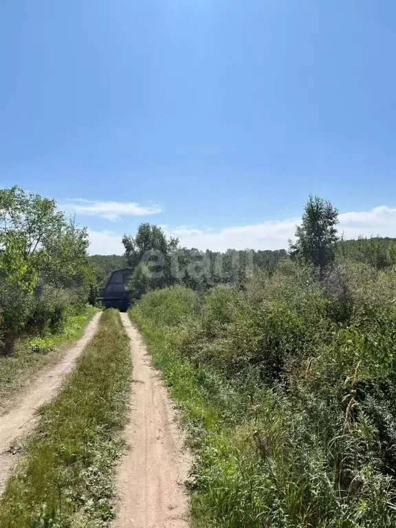 Участок в Амурская область, Благовещенский район, с. Кантон-Коммуна  ... - Фото 0