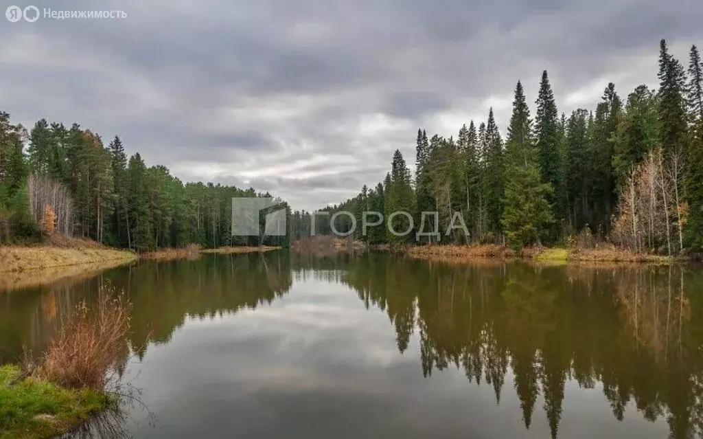 Дом в посёлок Мирный, Ягодная улица, 4 (17 м) - Фото 1