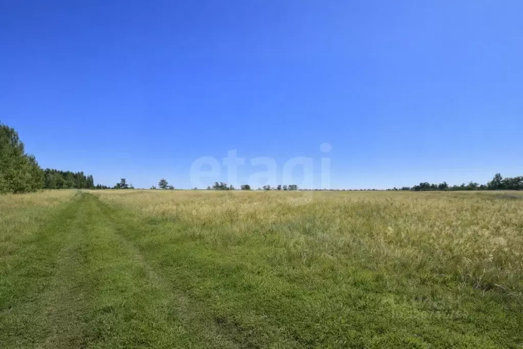 Участок в Оренбургская область, Оренбургский район, Красноуральский ... - Фото 1