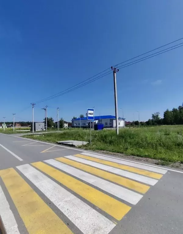 Участок в Новосибирская область, Новосибирский район, Станционный ... - Фото 1