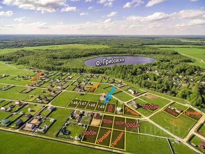 Участок в Владимирская область, Петушинский район, Приозерские дачи кп ... - Фото 1