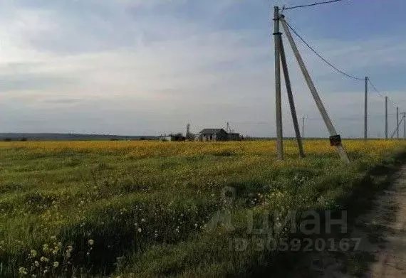 Участок в Краснодарский край, Анапа муниципальный округ, с. Джигинка ... - Фото 1