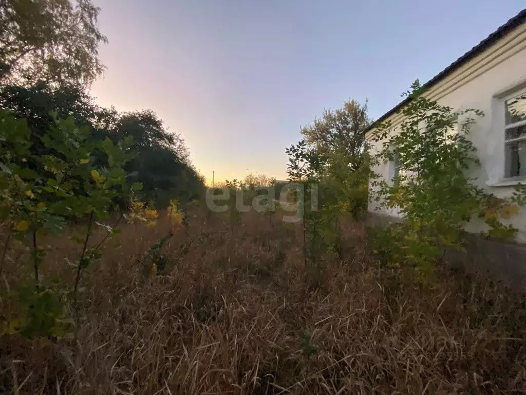 Дом в Белгородская область, Губкинский городской округ, с. Скородное ... - Фото 1