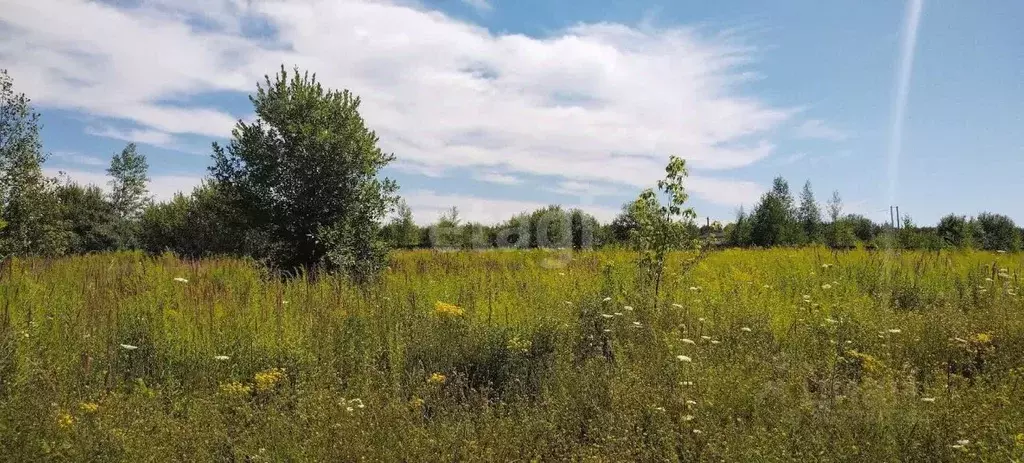 Участок в Нижегородская область, Кстовский муниципальный округ, с. ... - Фото 0