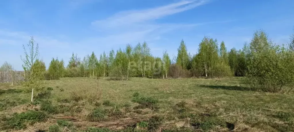 Участок в Нижегородская область, Выкса ул. Локтя (1074.0 сот.) - Фото 1