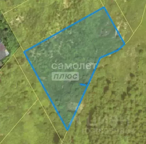 Участок в Калужская область, Боровск ул. Ленина, 71/2 (20.0 сот.) - Фото 2