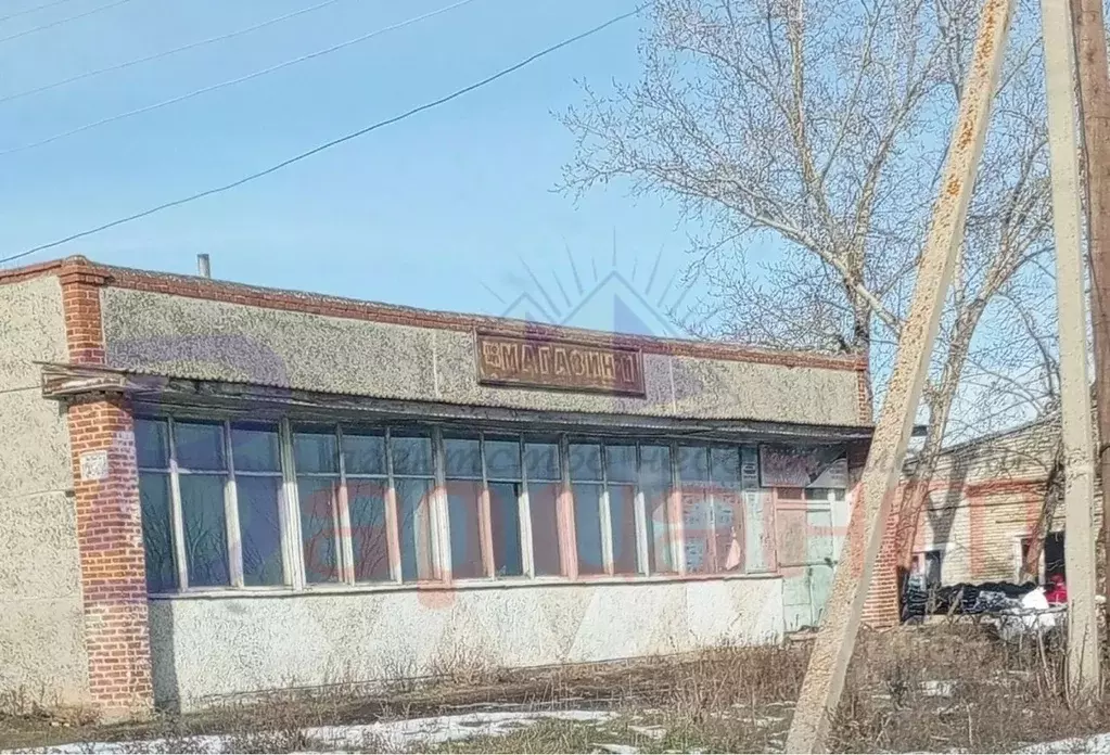 Помещение свободного назначения в Челябинская область, Чебаркульский ... - Фото 0