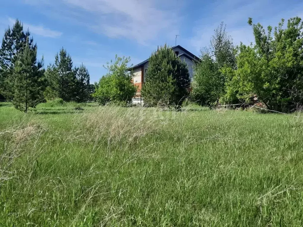 Участок в Алтайский край, Бийск городской округ, с. Фоминское пер. ... - Фото 1