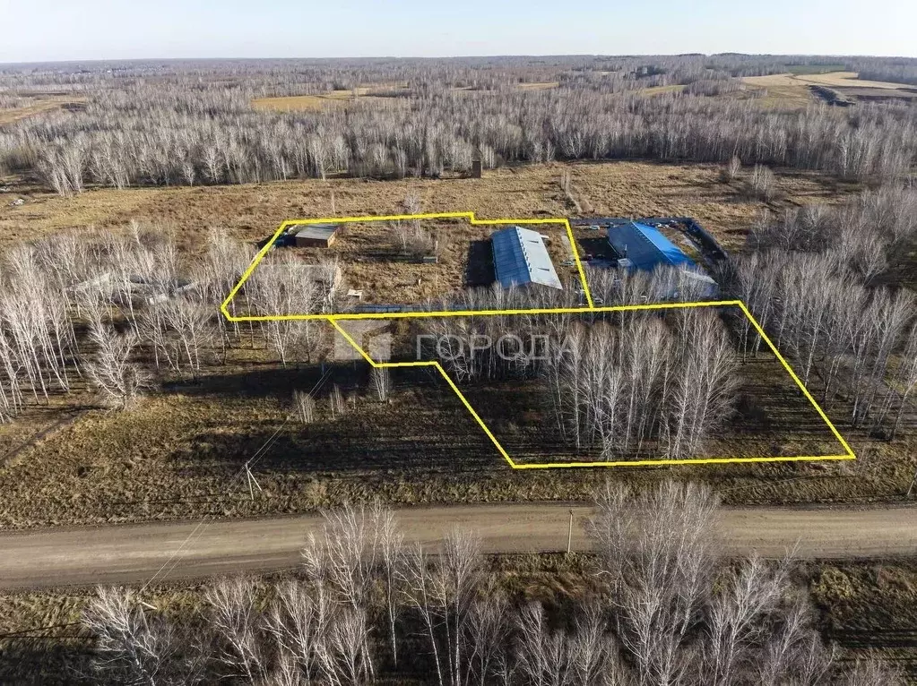 Склад в Новосибирская область, Новосибирский район, Каменский ... - Фото 1