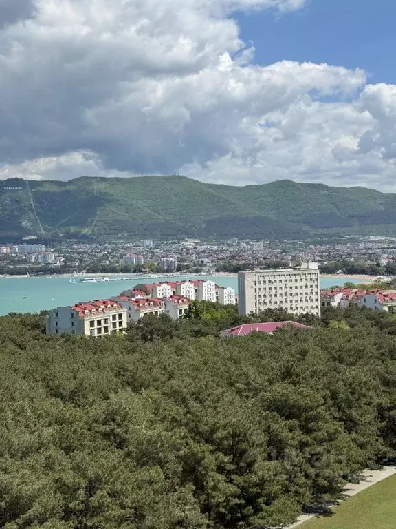 1-к кв. Краснодарский край, Геленджик ул. Южная, 35/1 (42.6 м) - Фото 1