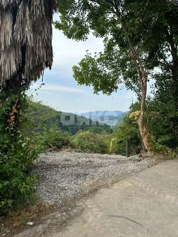 Дом в Краснодарский край, Сочи Бытха мкр, ул. Дивноморская (63 м) - Фото 1