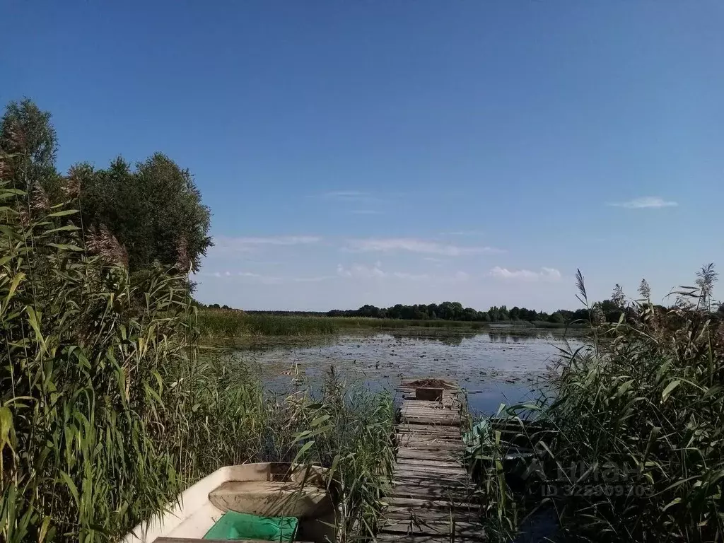 Дом в Ленинградская область, Лужский район, Скребловское с/пос, д. ... - Фото 2