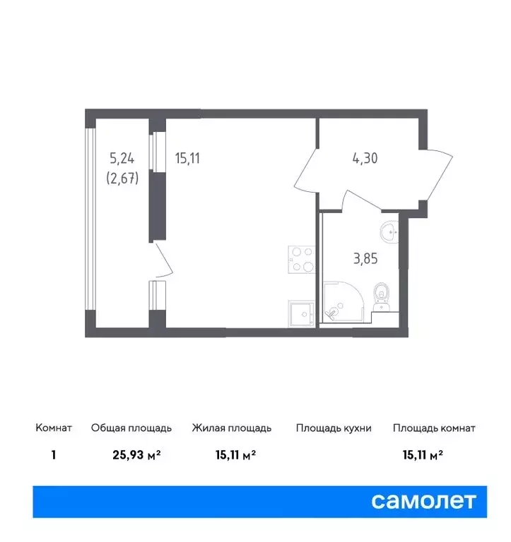 Квартира-студия: деревня Новосаратовка, улица Первых, 8к1 (25.93 м) - Фото 0