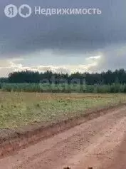 Участок в Ленинское сельское поселение, деревня Большие Сколотни, ... - Фото 1