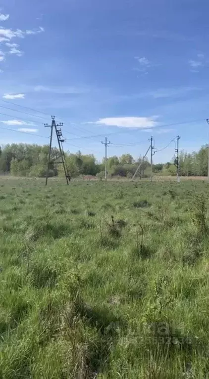 Участок в Калининградская область, Гурьевский муниципальный округ, ... - Фото 1