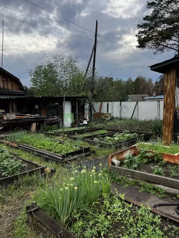 Дом в Забайкальский край, Читинский район, № 58 Озон СНТ ул. Западная, ... - Фото 1