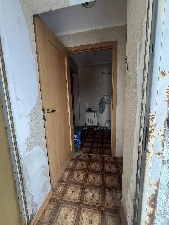Офис в Калининградская область, Калининград Новинская ул., 12 (47 м) - Фото 2