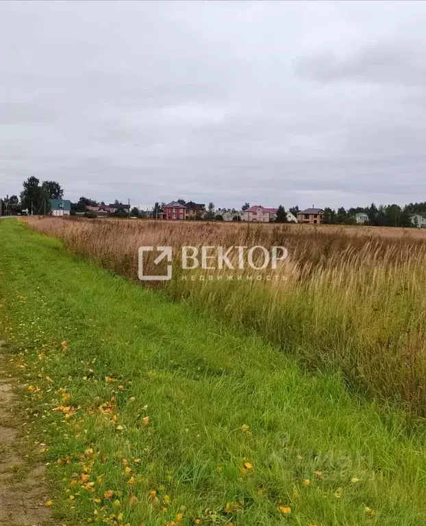 Участок в Костромская область, Буй ул. Некрасова (8.0 сот.) - Фото 1