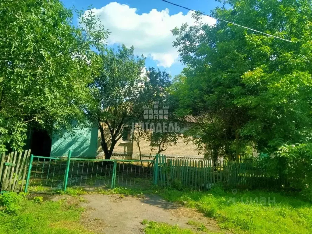 Дом в Воронежская область, Нижнедевицкий район, Синелипяговское с/пос, ... - Фото 1