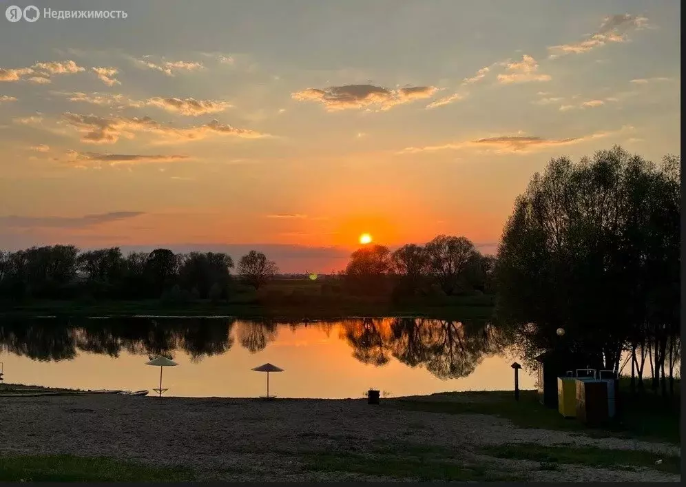 1-комнатная квартира: село Заборье, Луговая улица, 63 (36 м) - Фото 1