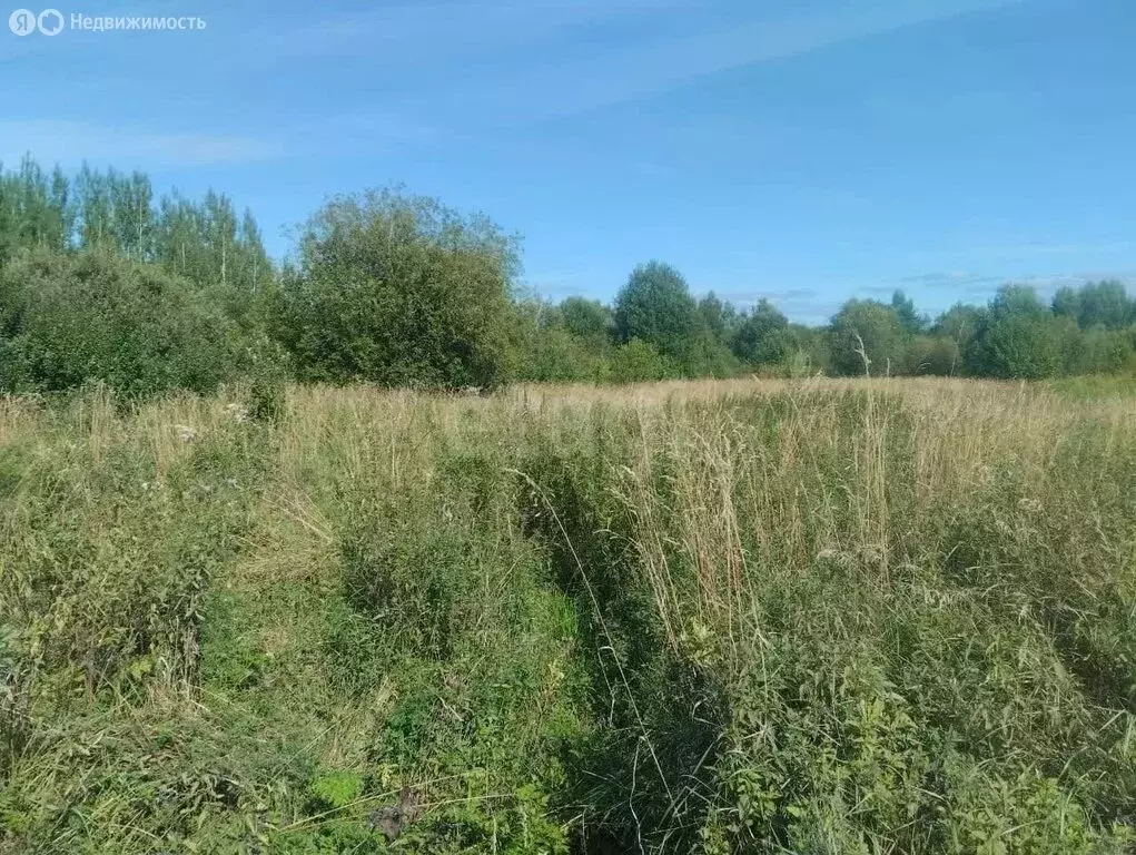 Участок в Вологодская область, Кирилловский муниципальный округ, ... - Фото 1